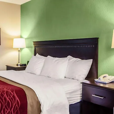 Quality Inn Belton - Kansas City South-2