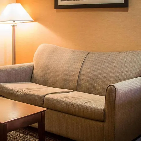 Quality Inn & Suites Port Huron-2