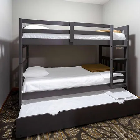 Wingate By Wyndham Wisconsin Dells Waterpark-2