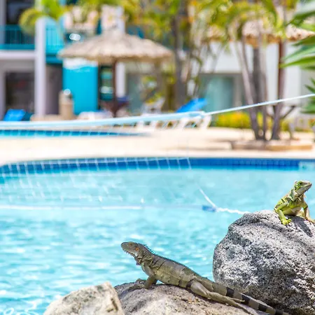 Courtyard By Marriott Aruba Resort-3