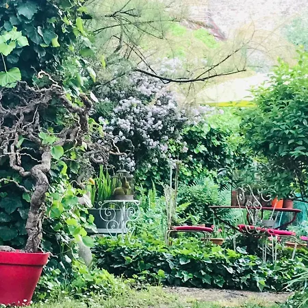 La Maison des Roses-3