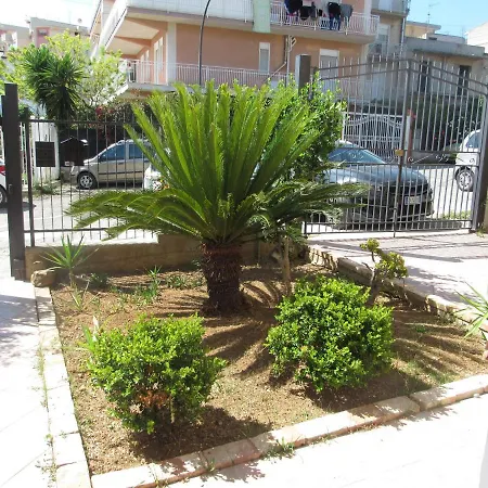 La Cycas-3