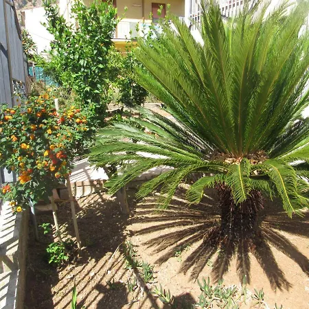 La Cycas-2