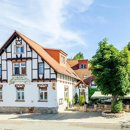 Gasthof und Pension Frankenthal-3