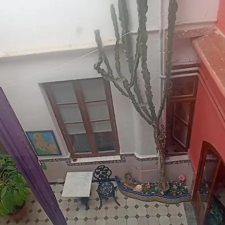 Casa Artistica-3