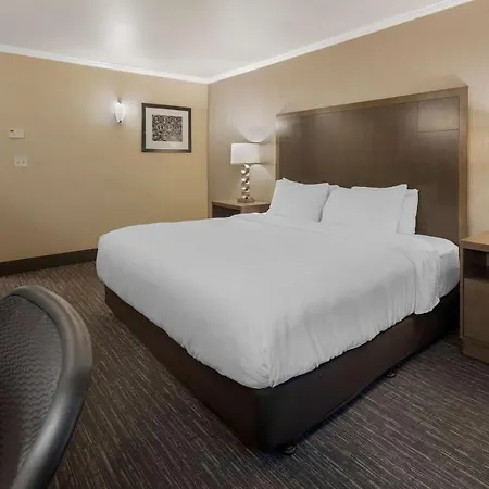 Best Western Plus Chena River Lodge-2
