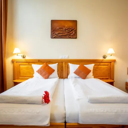 Hotel Manzard Panzio-2