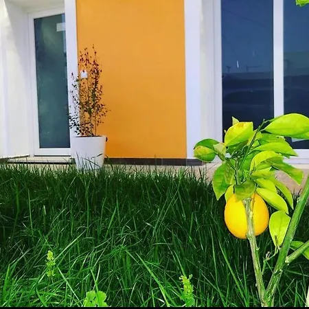 Orange Guest House-2