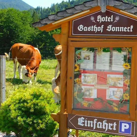 Hotel-Gasthof-Sonneck-2