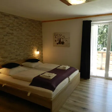 Pension und Appartements Hartkaiser-3