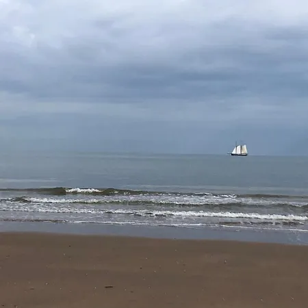 B&B Paauwze-3