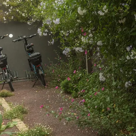 chambre d'hôte et gîte du jardin des corsaires-3