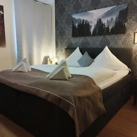 Stadthotel Deggendorf-3
