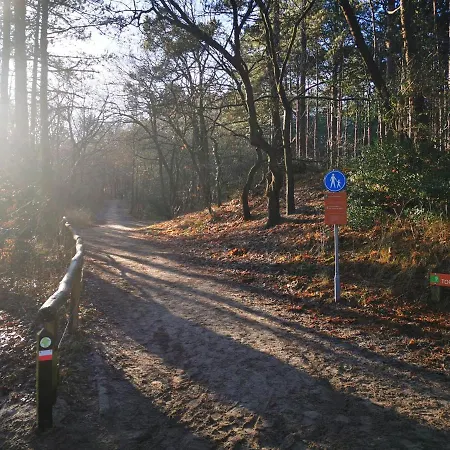 Bnbheerhugowaard Wooden-2
