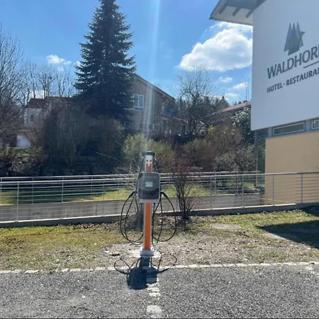Hotel Waldhorn-2