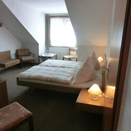 Hotel Hinz-3