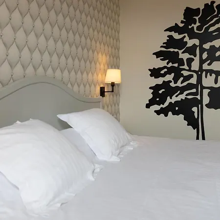 Cit'Hotel - Hotel Le Cèdre-2