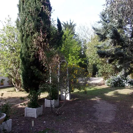 mas des pins-2