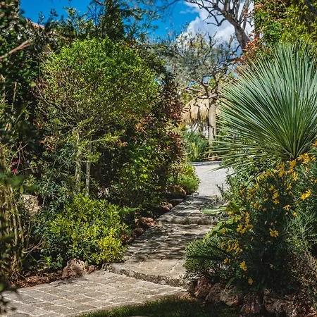 La Bastide de l'Oliveraie-2