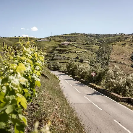 Original Douro Hotel-3