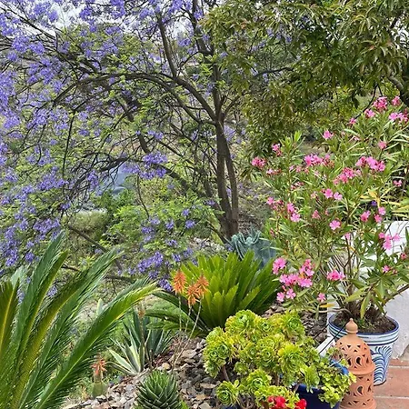B&B rural El Oasis-3