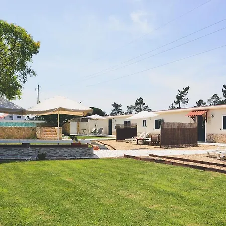 Tree House - Casa Figueira-3