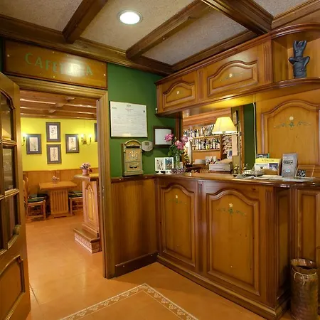 Hotel Avenida Benasque-2