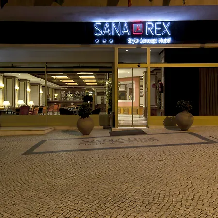 Sana Rex Hotel-2