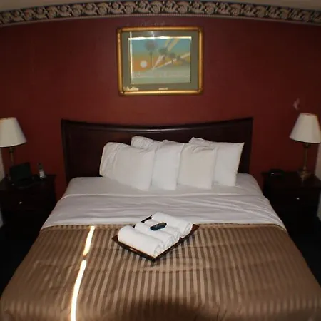 Value Inn & Suites - Harlingen-2
