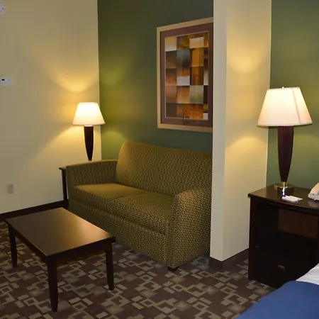 Holiday Inn Express Hotel & Suites Dumas By Ihg-2