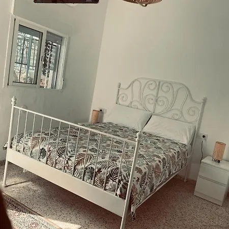 Amir B&B-2