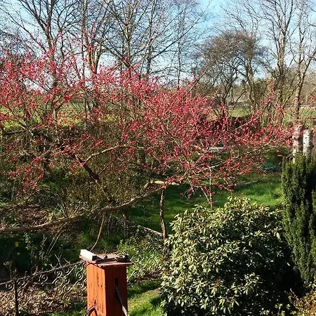 De Geheime Tuin - Uitzicht-2