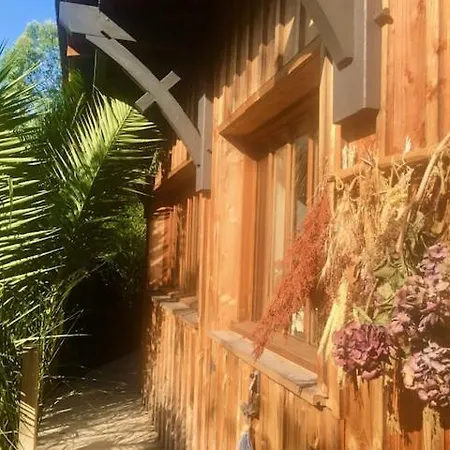 Cabane Chic au Cap Ferret-2
