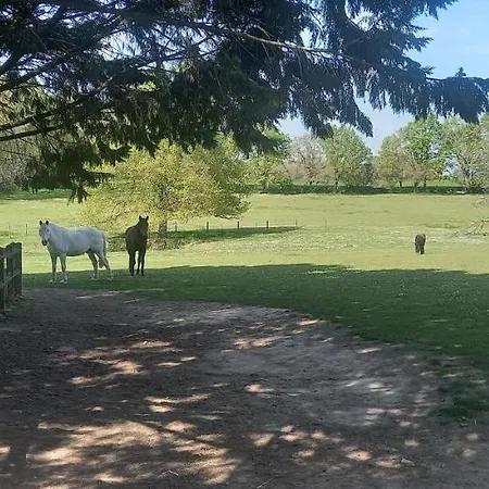 Les Grands Bois à BOUSSE-2