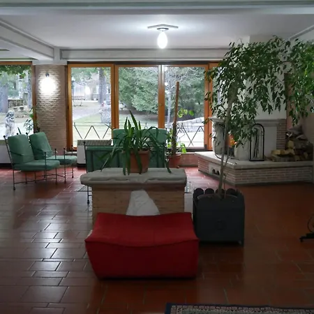 LH Albergo Il Picchio-2