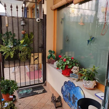 B&B Bondi-2