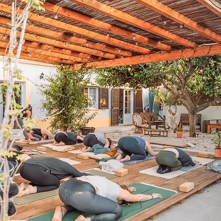 Lemontree Eco Surfhouse-3