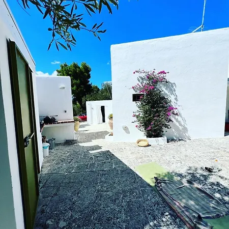 Syconium Trullo And Lamia Gea Charme And History-3