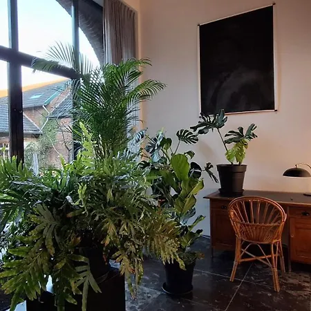 b&b Het Wolfshuis-2