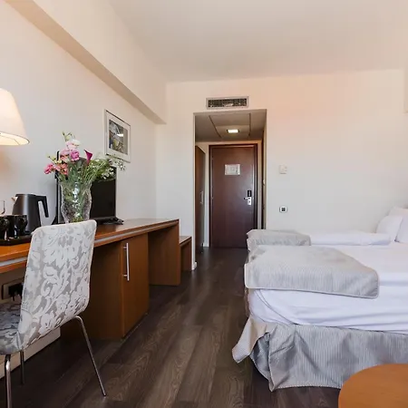 Hotel Timisoara-3