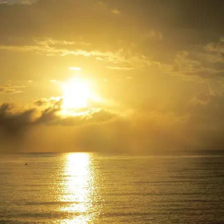 A Piece Of Paradise Montego Bay-3