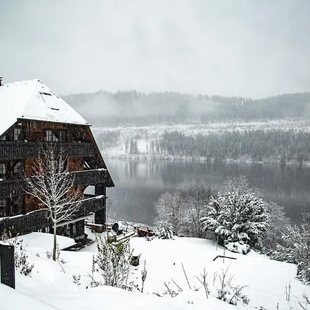 Alemannenhof - Boutique Hotel Am Titisee-2