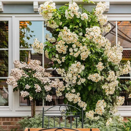 De Lindenhoeve Lodge-2