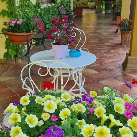 Villa Olga B&B-3