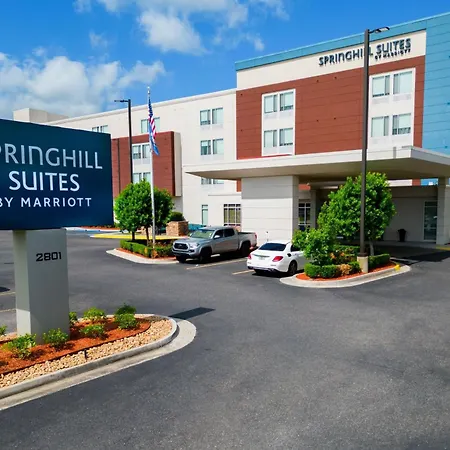 Springhill Suites By Marriott Baton Rouge Gonzales-3