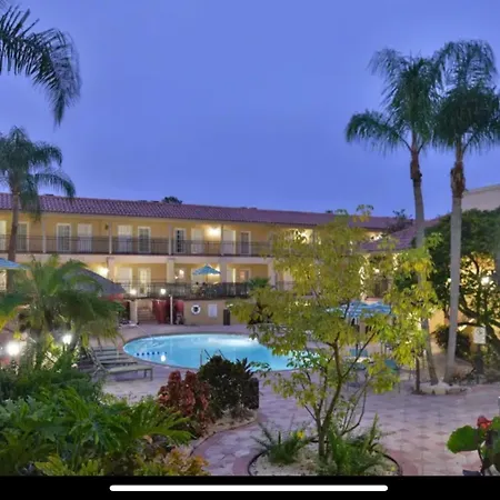 Red Roof Inn Plus & Suites Tampa - Busch Gardens-3