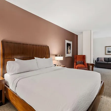 Hilton Garden Inn New Orleans French Quarter/Cbd-3