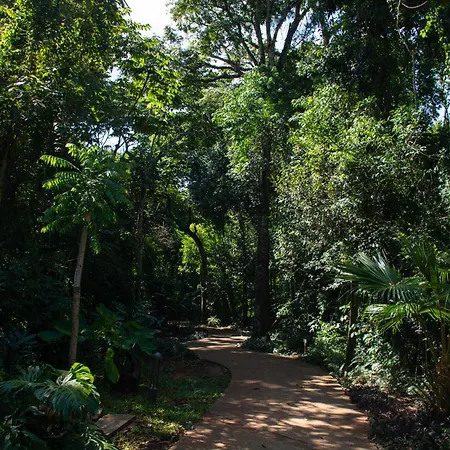 Yvy Hotel De Selva-2