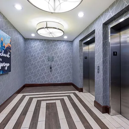 Homewood Suites By Hilton Atlanta Perimeter Center-3