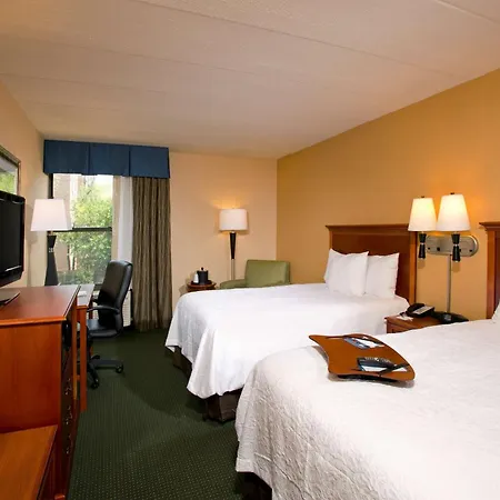 Hampton Inn Alexandria-3